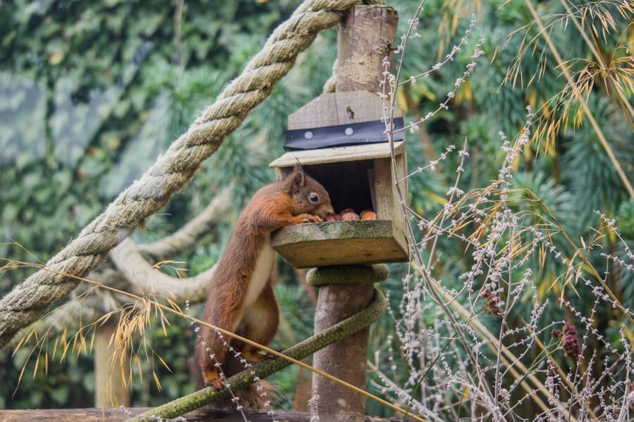 Wat te doen op Isle of Wight? || The London Tester
