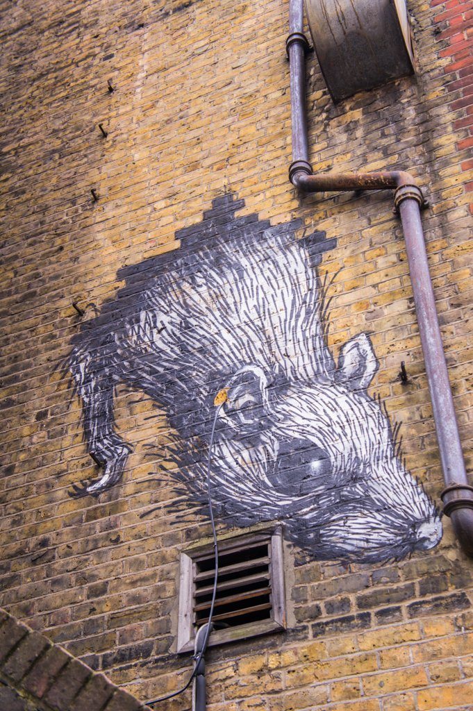 Roa - 10x street artists uit Londen die je niet wilt missen || The London Tester