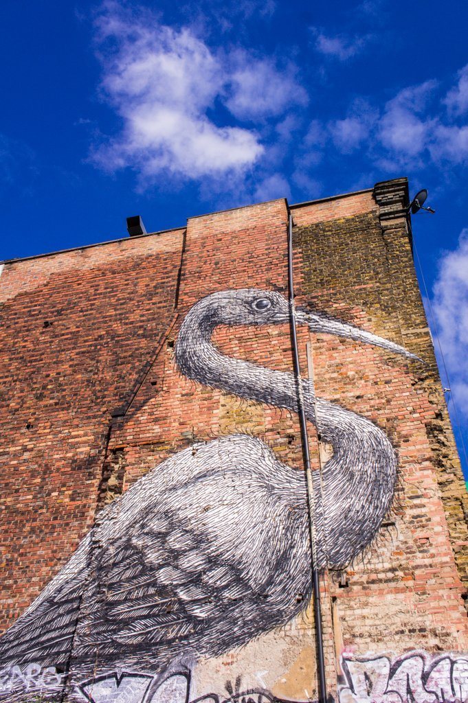 Roa - 10x street artists uit Londen die je niet wilt missen || The London Tester