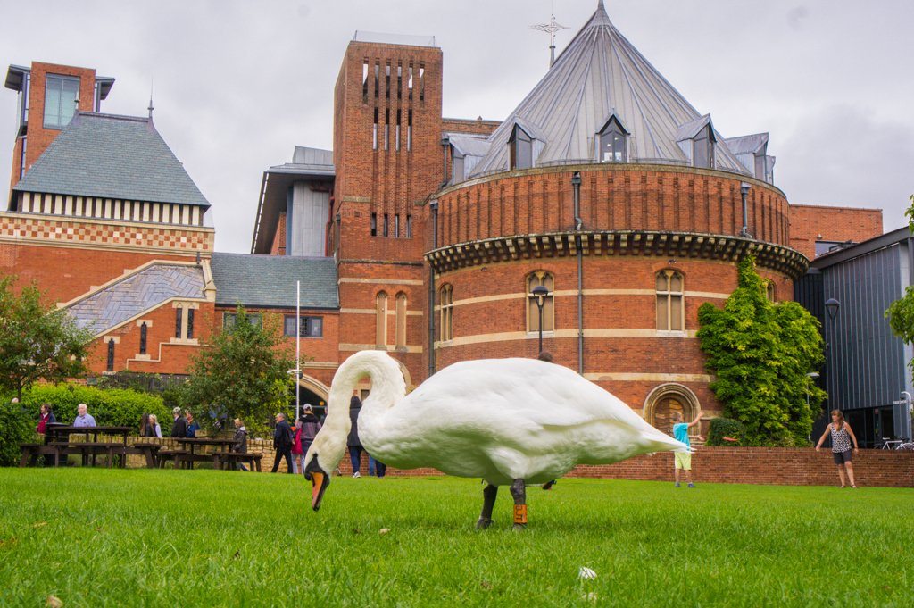 Wat te doen in Stratford-Upon-Avon? Ontdek de geboorteplaats van Shakespeare op een dagtrip vanuit Londen || The London Tester