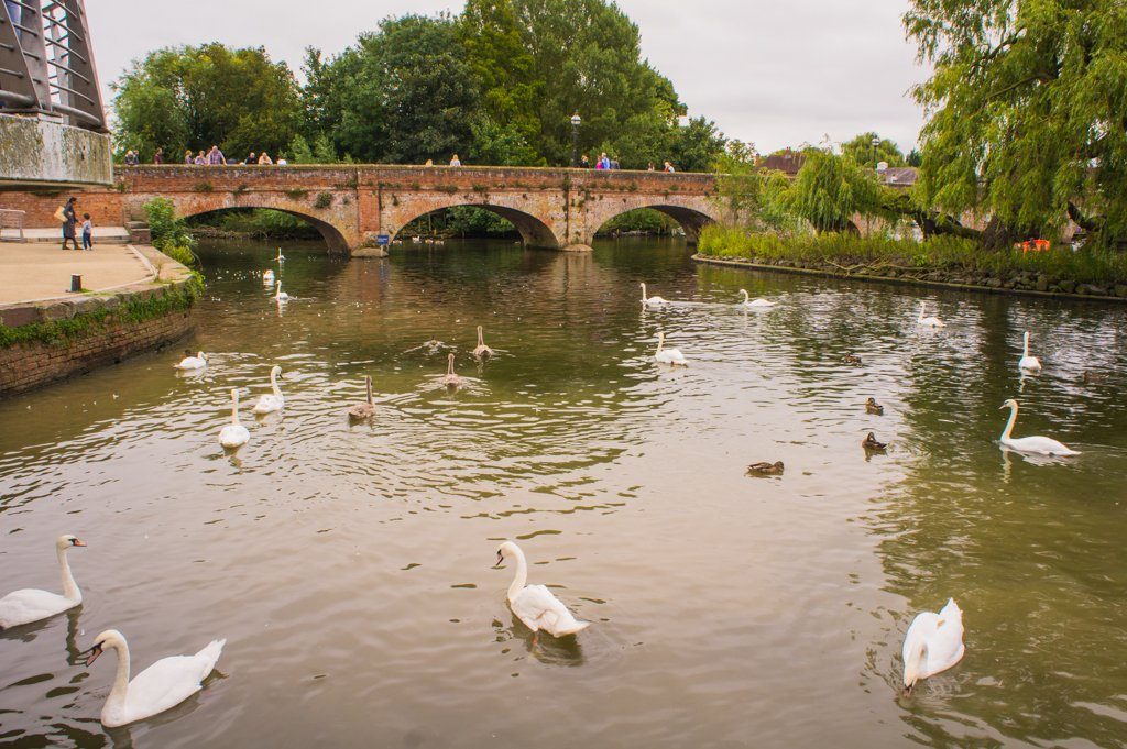 Wat te doen in Stratford-Upon-Avon? Ontdek de geboorteplaats van Shakespeare op een dagtrip vanuit Londen || The London Tester