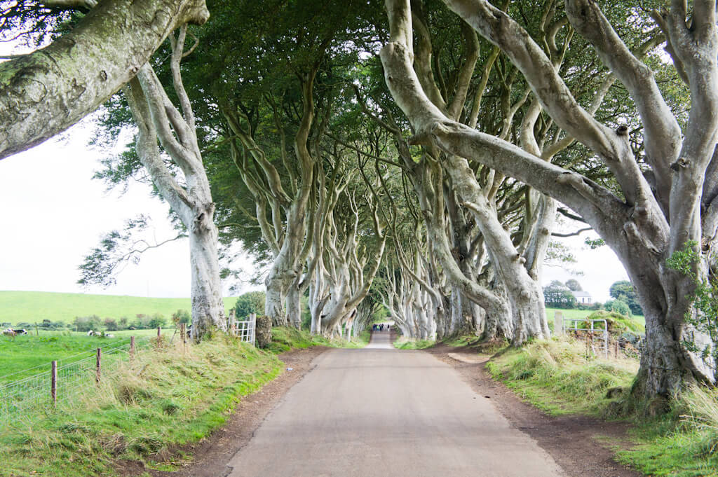 Noord-Ierland Bezienswaardigheden voor Game of Thrones Liefhebbers: 6 Unieke Ervaringen Die Je Niet Wilt Missen! || The London Tester