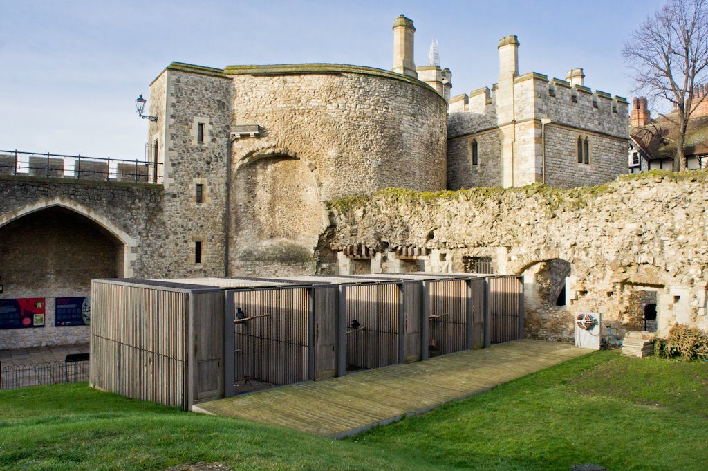 Bezoek de Tower of London en Ontbijt met de Raven! || The London Tester