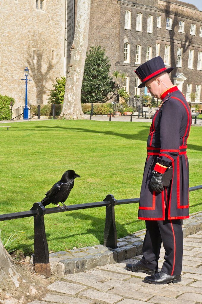 Bezoek de Tower of London en Ontbijt met de Raven! || The London Tester