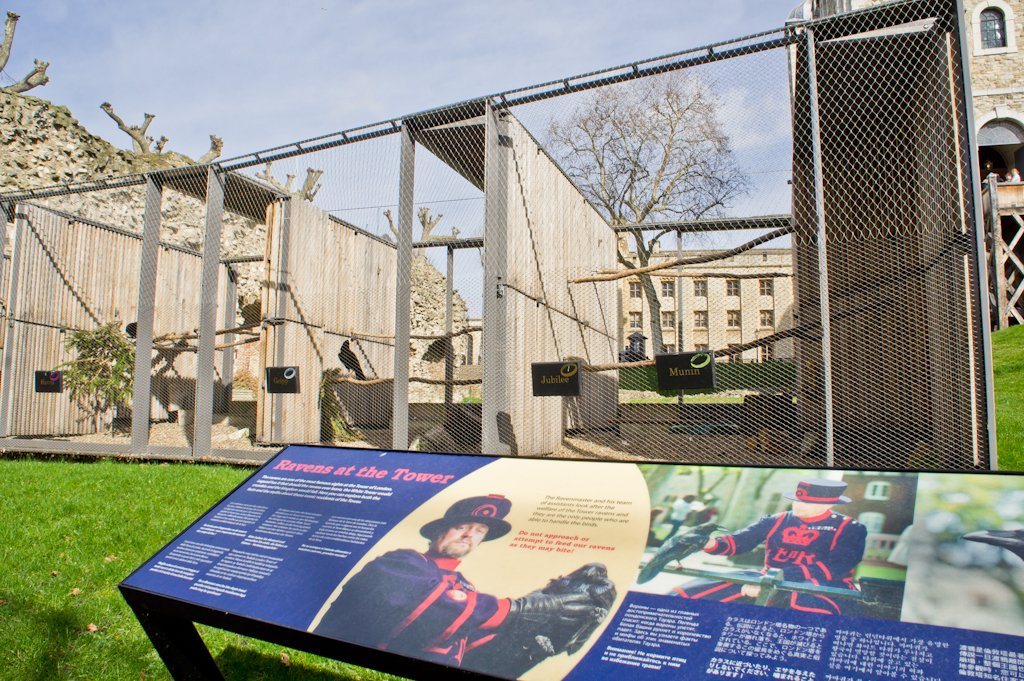 Bezoek de Tower of London en Ontbijt met de Raven! || The London Tester