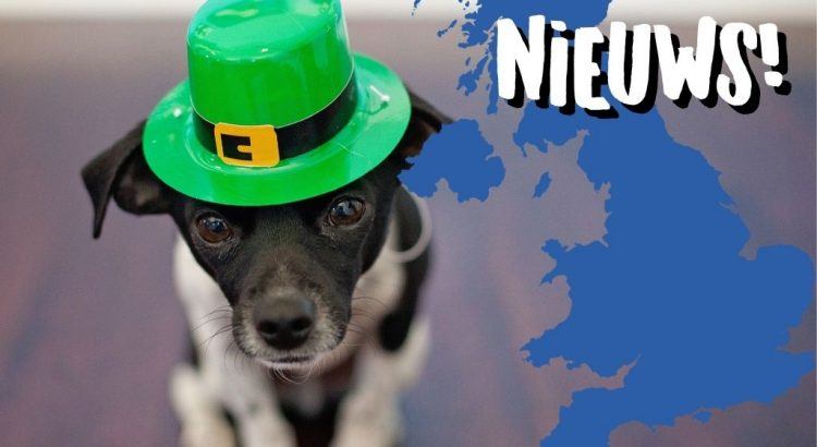 St. Patrick’s Day wordt ook in Nederland Gevierd! || The London Tester
