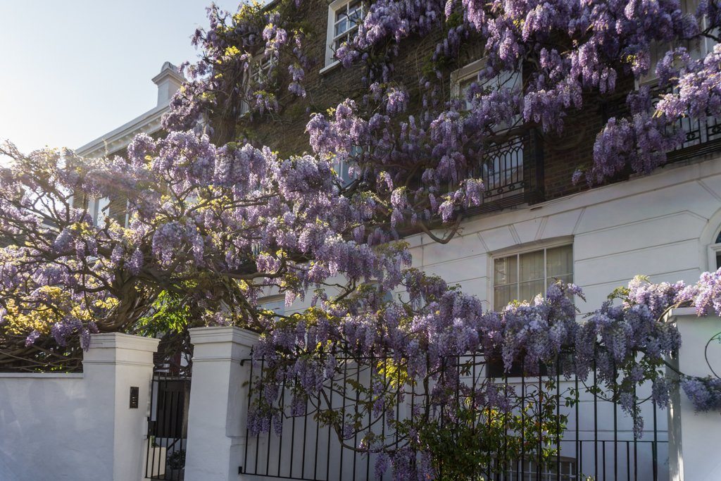 Dagboek Mei 2018 - Wij Zijn Dol op de Bossen... Daar Kunnen we Hossen, Daar Kunnen we Klossen... || The London Tester