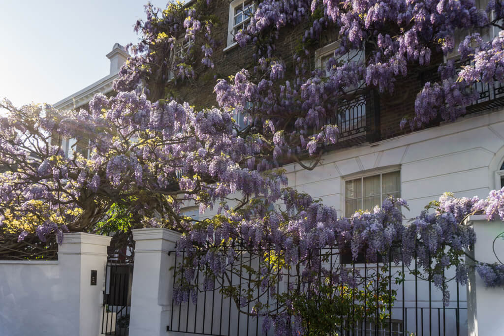 Dagboek Mei 2018 - Wij Zijn Dol op de Bossen... Daar Kunnen we Hossen, Daar Kunnen we Klossen... || The London Tester