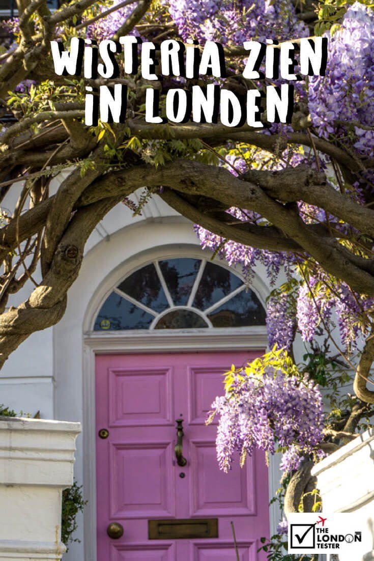Beste Plekken om Wisteria in Londen te Zien: Notting Hill, Kensington & Chelsea || The London Tester