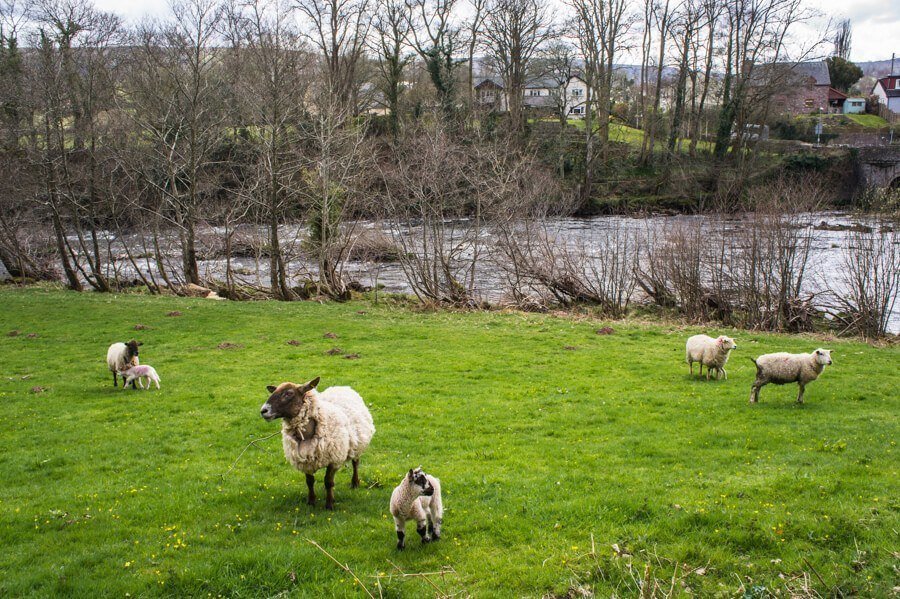 Brecon Beacons Nationaal Park Wales || The London Tester