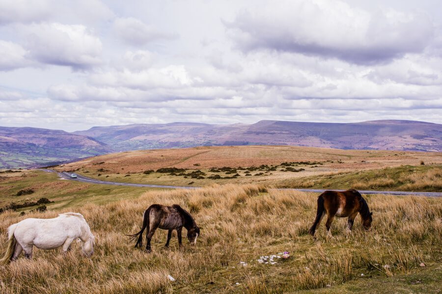 Brecon Beacons Nationaal Park Wales || The London Tester