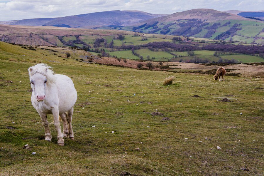 Brecon Beacons Nationaal Park Wales || The London Tester