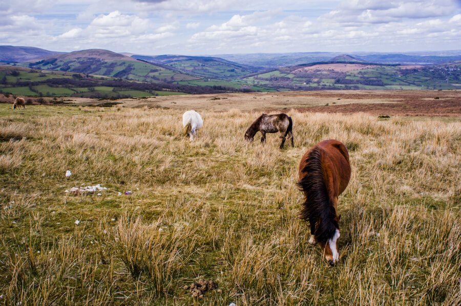 Brecon Beacons Nationaal Park Wales || The London Tester