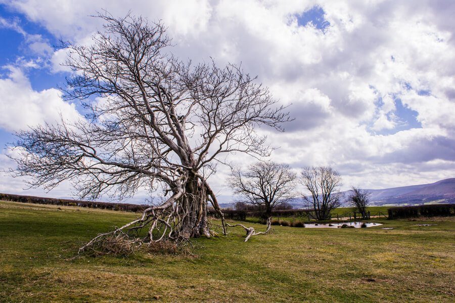 Brecon Beacons Nationaal Park Wales || The London Tester