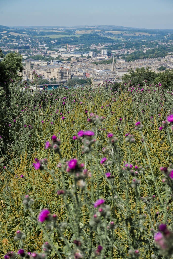 Unieke en Betaalbare Accommodatie in Bath, Engeland: University of Bath Campus! || The London Tester || #England #Engeland #Bath #CityGuide #WeekendBreak #UnitedKingdom #GreatBritain #BathUniversity #UniversityBath #University