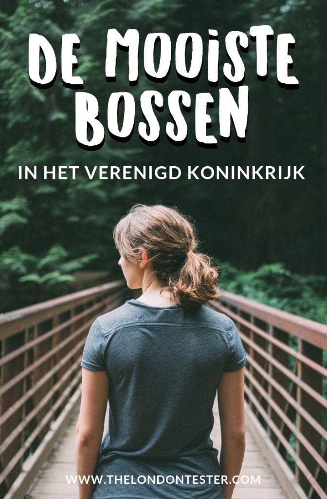 De Mooiste Bossen in het Verenigd Koninkrijk: Een Instagram Overzicht! || The London Tester