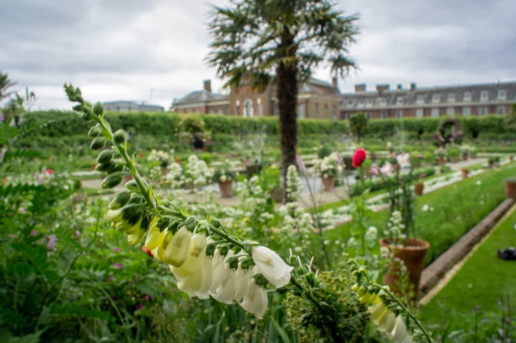 Bezoek Kensington Palace met The London Tester