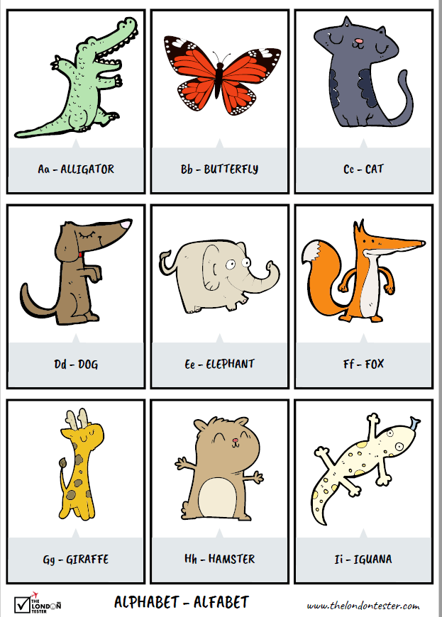 Het Alfabet in het Engels - 27 Flashcards om te Oefenen! || The London Tester