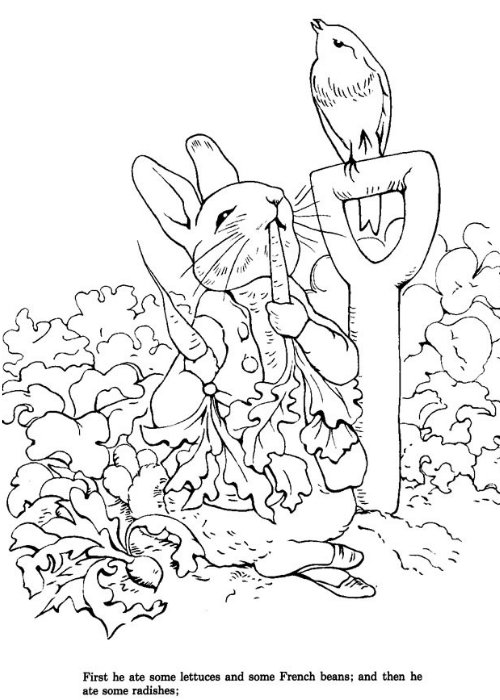 Gratis Peter Rabbit Kleurplaten om te Printen || The London Tester