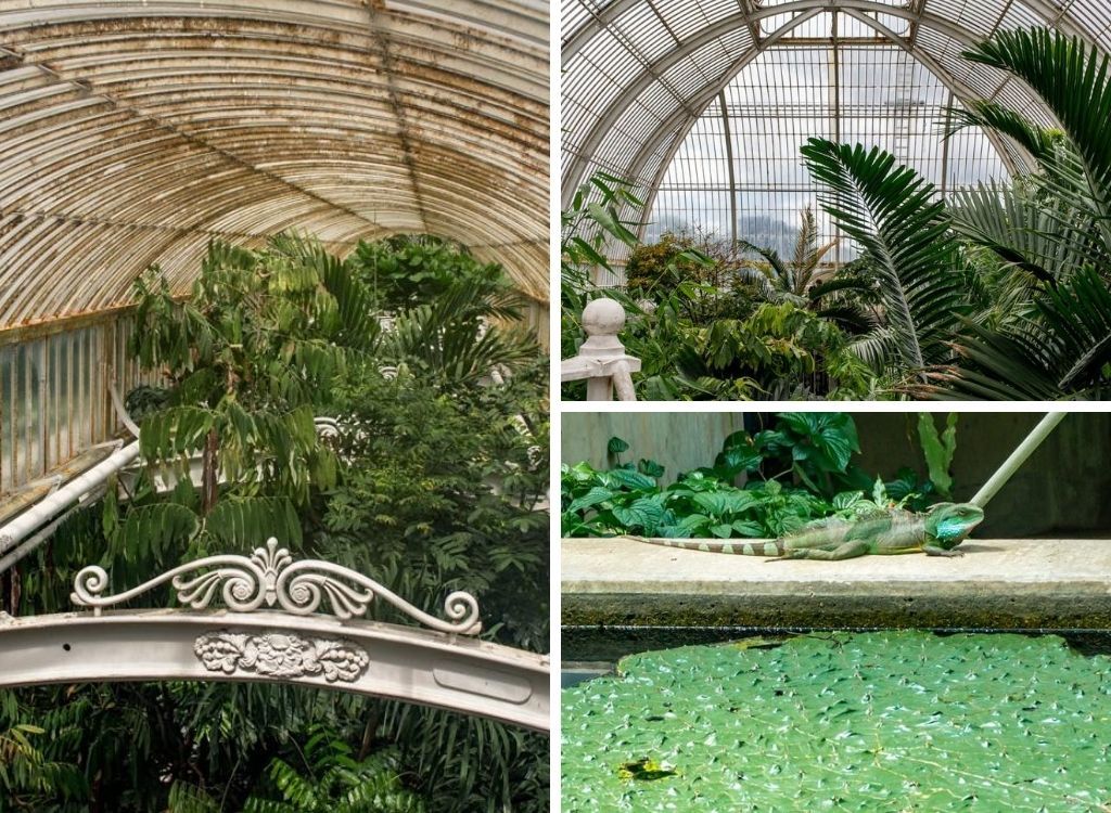 KEW Gardens: Een van de Mooiste Botanische Tuinen Londen || The London Tester