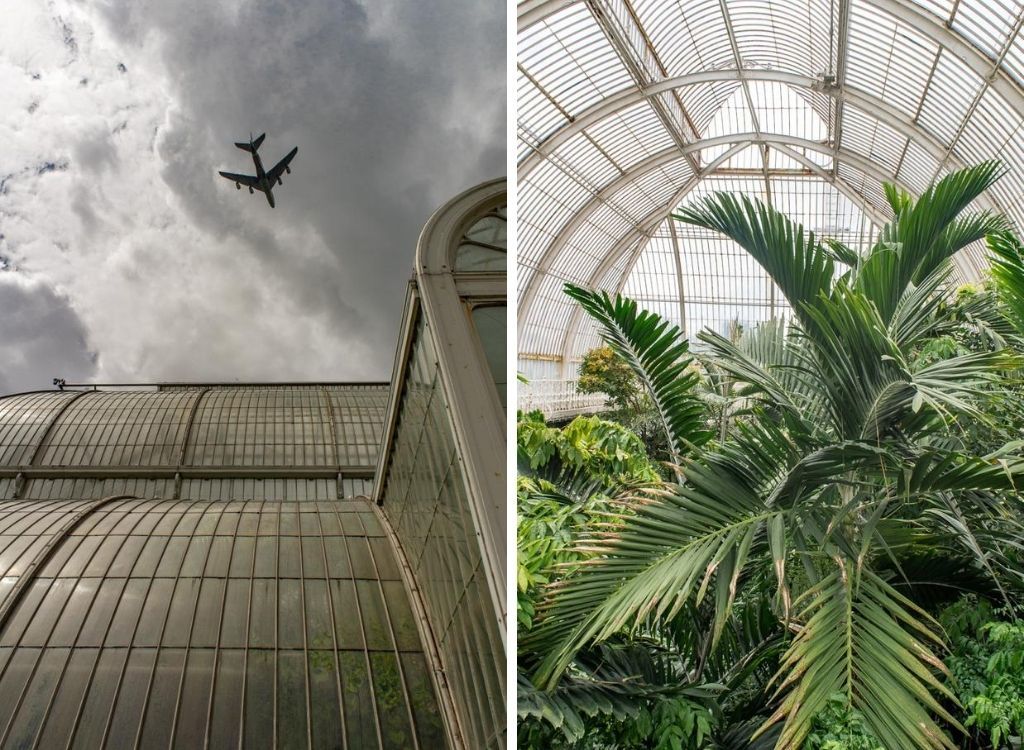 KEW Gardens: Een van de Mooiste Botanische Tuinen Londen || The London Tester