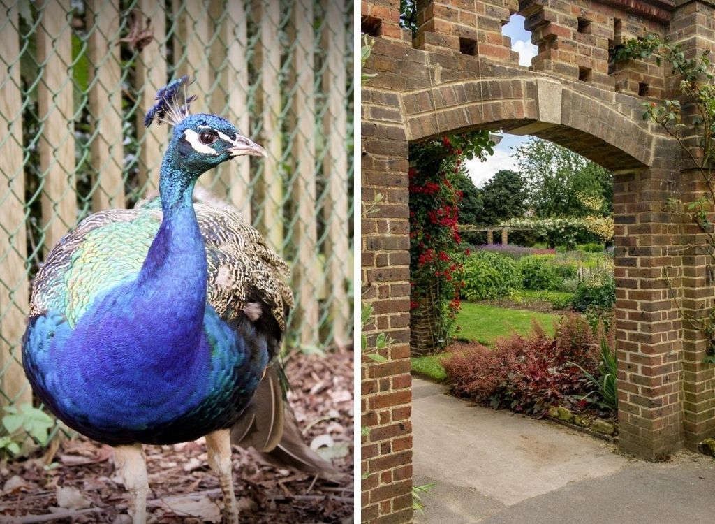 KEW Gardens: Een van de Mooiste Botanische Tuinen Londen || The London Tester