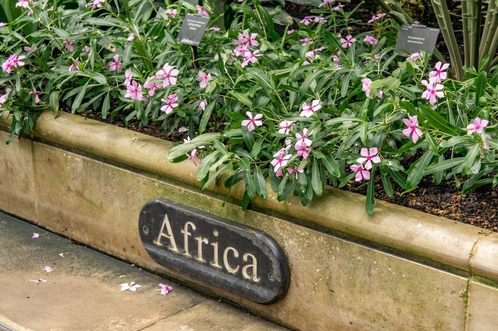 KEW Gardens: Een van de Mooiste Botanische Tuinen Londen || The London Tester
