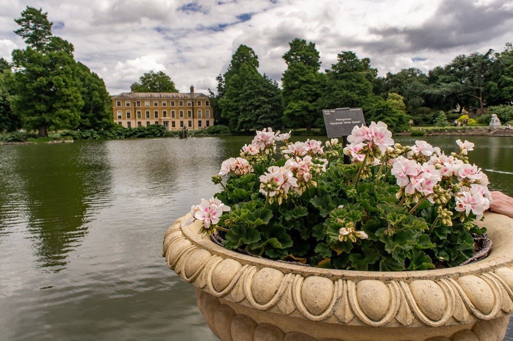 KEW Gardens: Een van de Mooiste Botanische Tuinen Londen || The London Tester