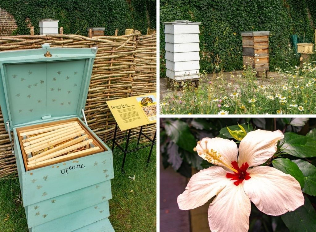 KEW Gardens: Een van de Mooiste Botanische Tuinen Londen || The London Tester