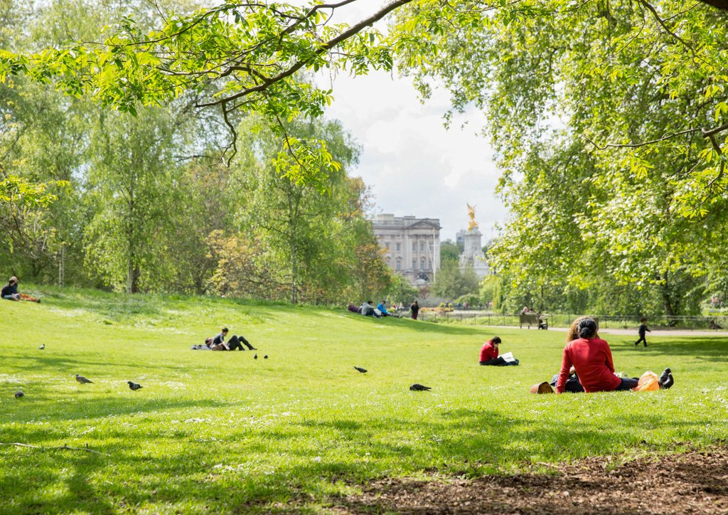 Buckingham Palace vanuit Hyde Park in Londen