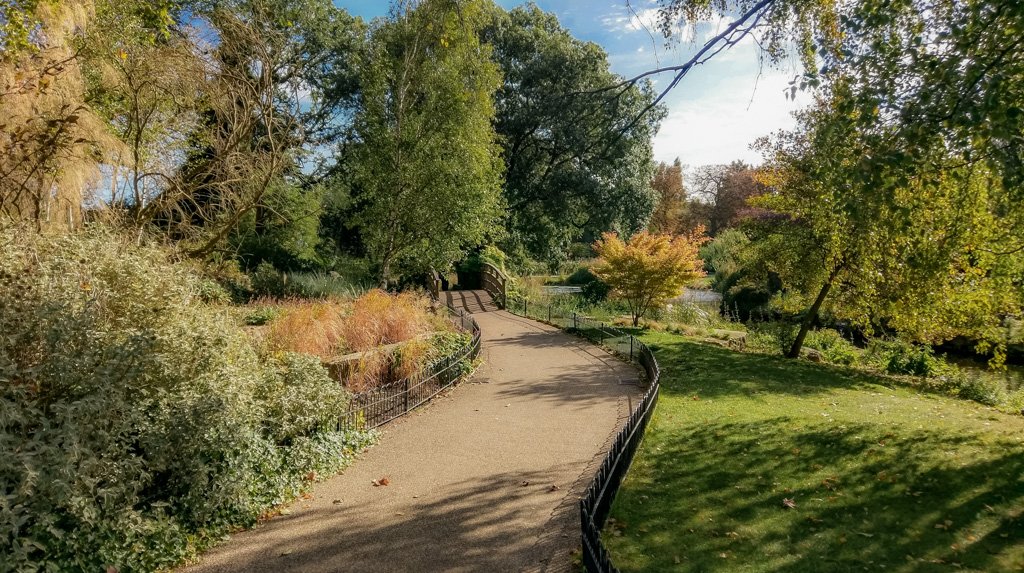 Paden in Regent's Park