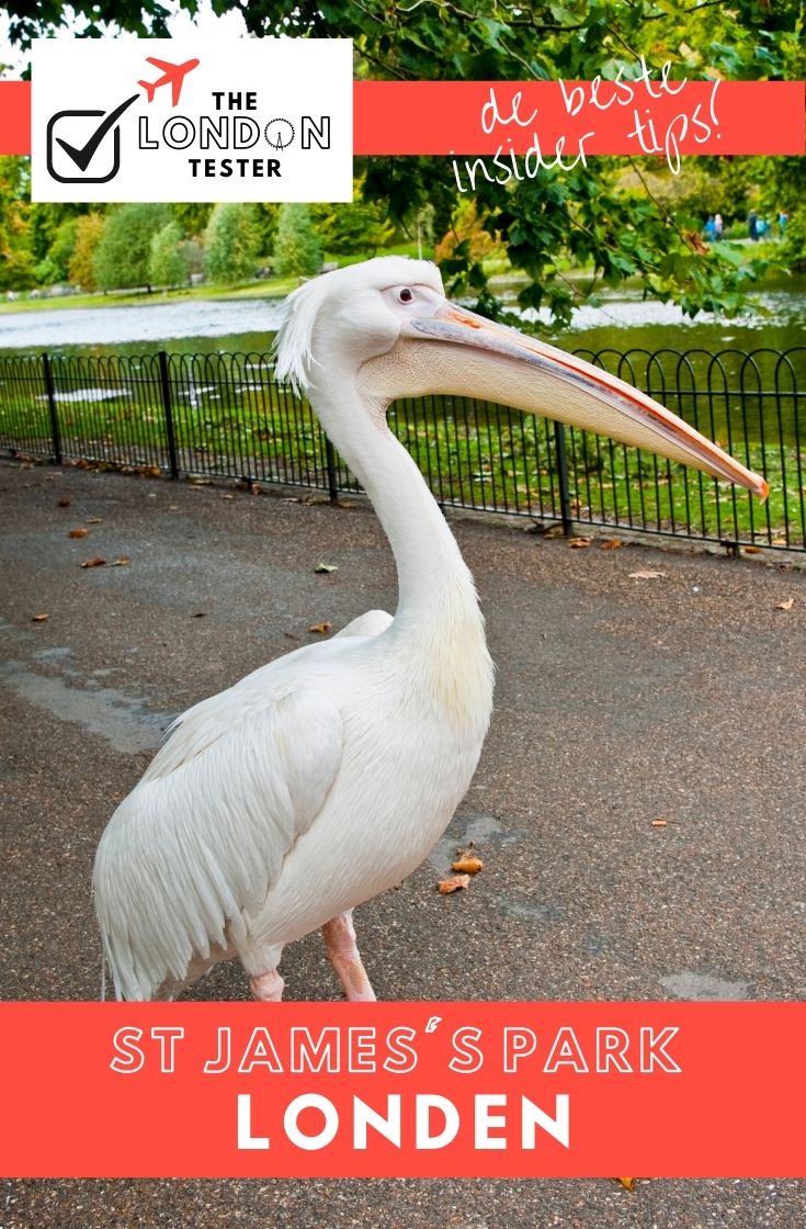 St James’s Park Londen - Leuke Weetjes & Handige Tips || The London Tester
