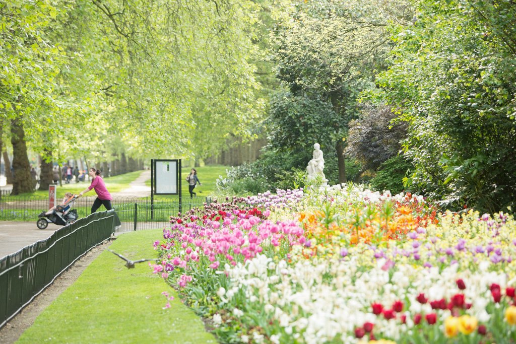 Prachtige bloemen in St James's Park