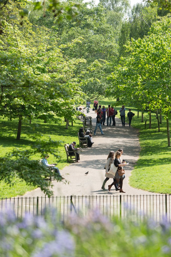 Kronkelige Paden in St James's Park
