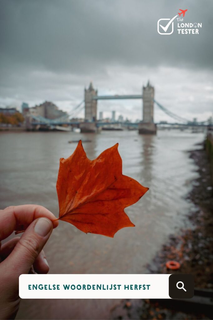 Thema Herfst: Woordenlijst Engels (Gratis Download) || The London Tester