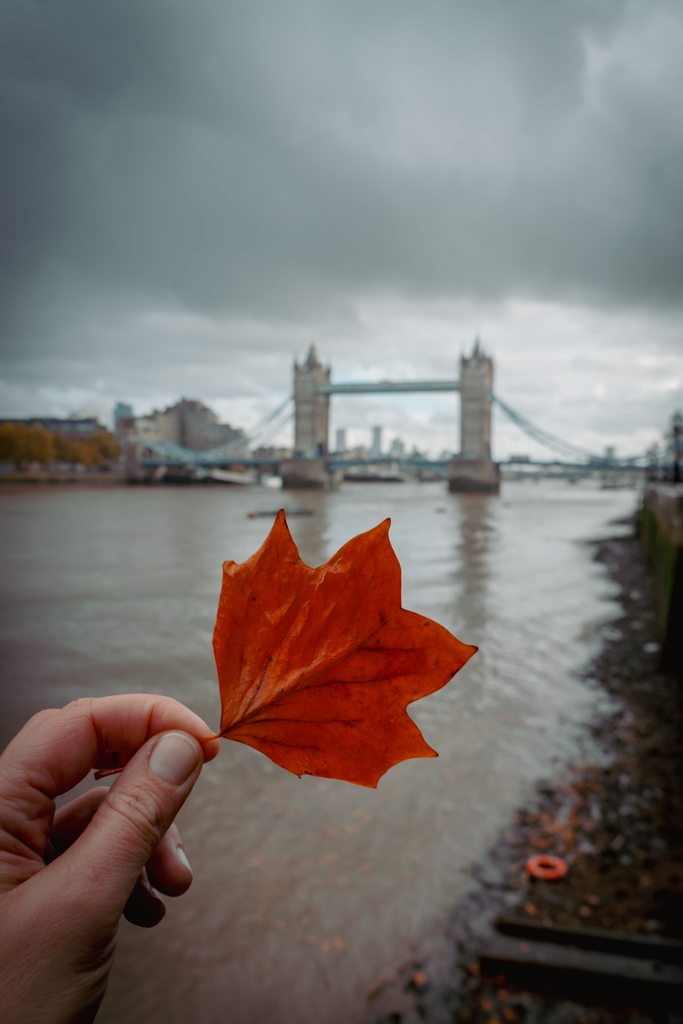 Thema Herfst: Woordenlijst Engels (Gratis Download) || The London Tester