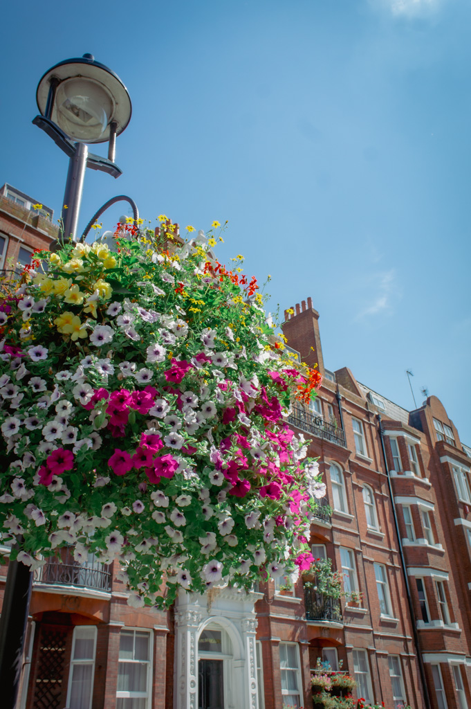 Speciaalzaken in Londen: Marylebone High Street