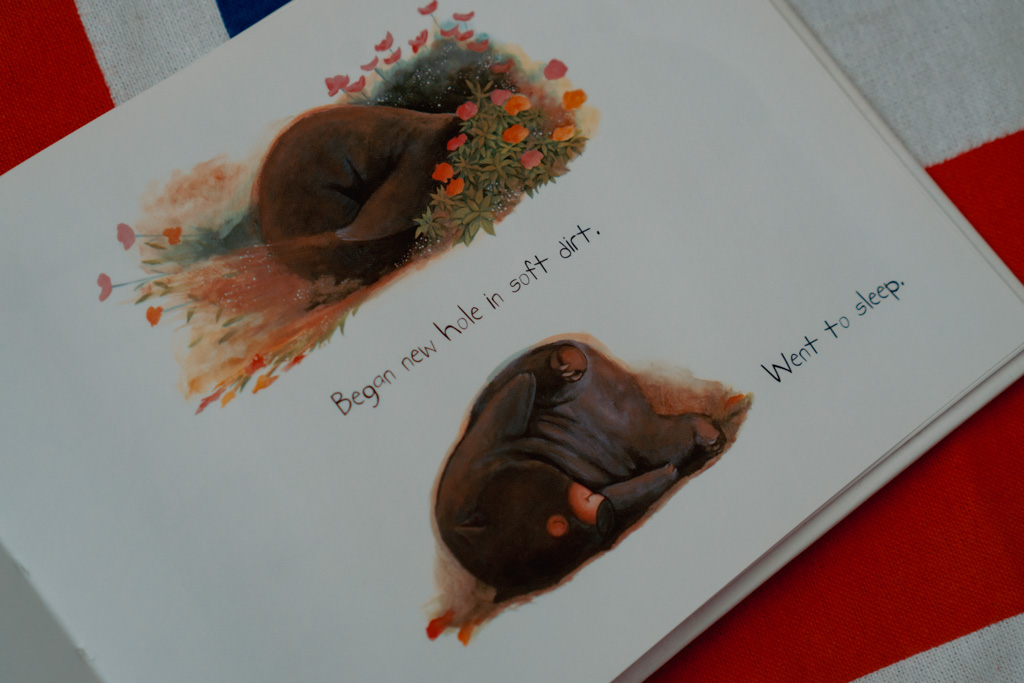 Diary of a Wombat - Jackie French | The London Tester