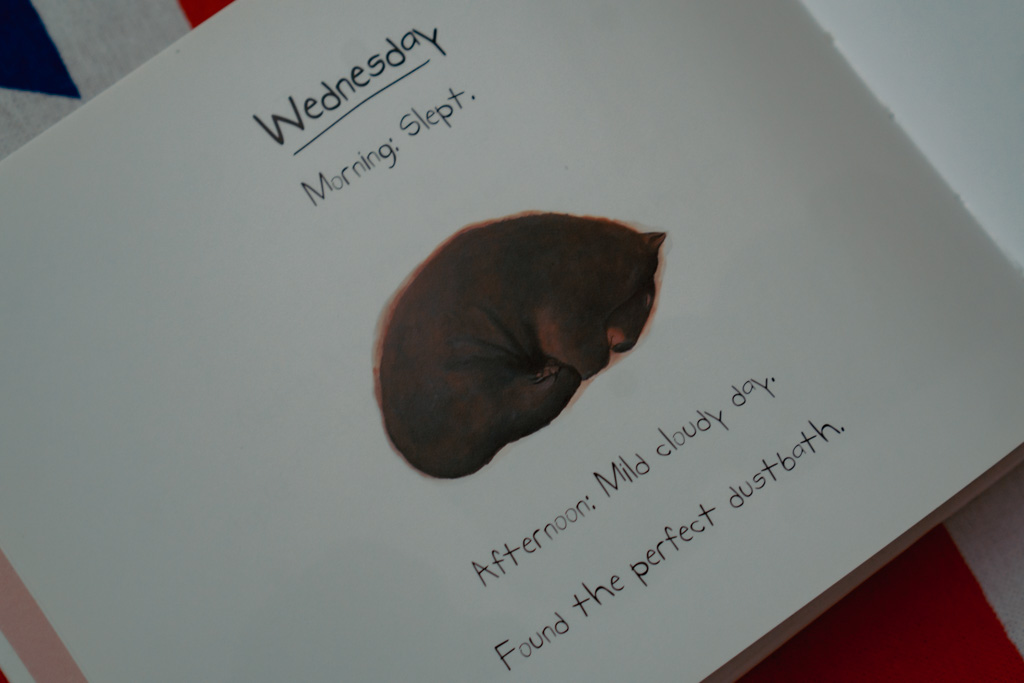 Diary of a Wombat - Jackie French | The London Tester
