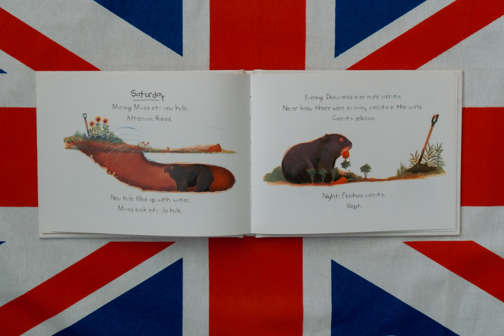 Diary of a Wombat - Jackie French | The London Tester