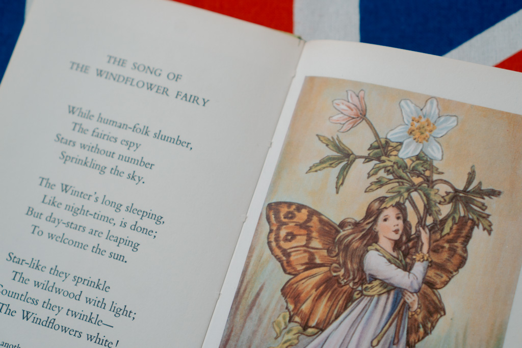 Flower Fairies of the Spring - Cicely Mary Barker | The London Tester