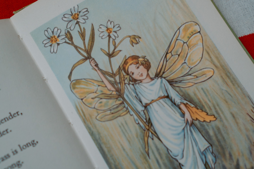 Flower Fairies of the Spring - Cicely Mary Barker | The London Tester