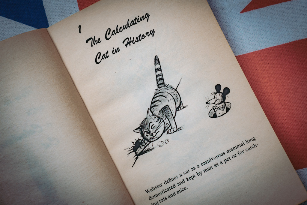 How to Live With a Calculating Cat - Eric Gurney | The London Tester
